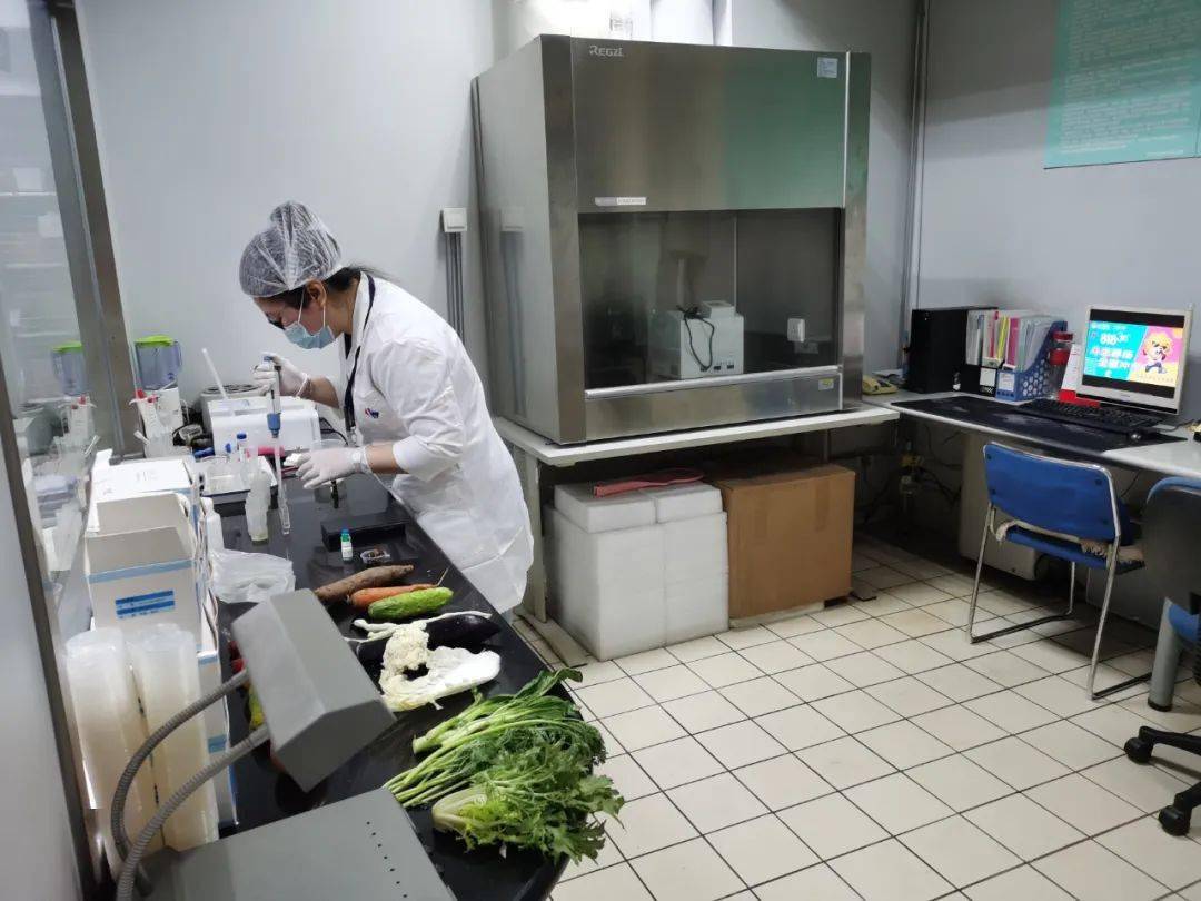 高阳食品检测实验室装修方案